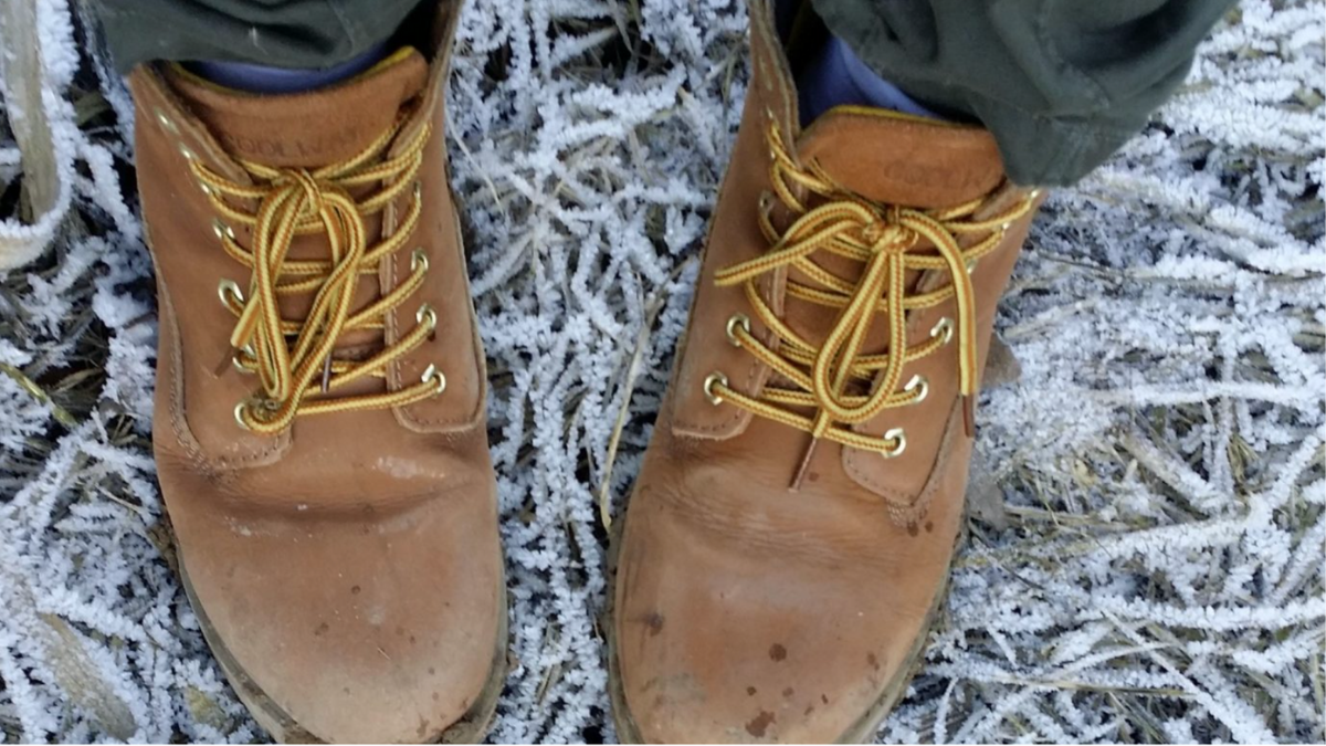 Boots on a frosty grass