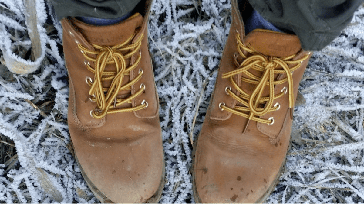 Boots on frosty grass